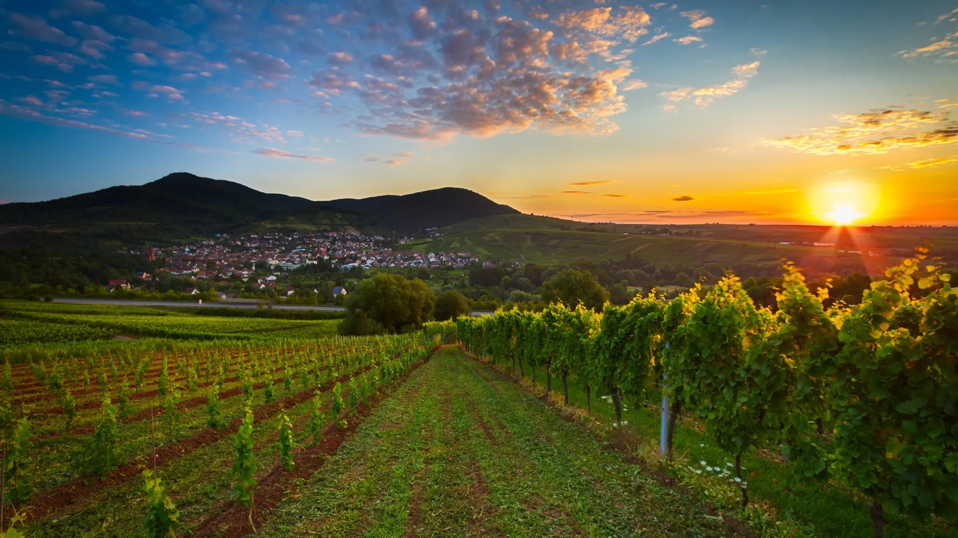 Immobilienexperten und Immobilienmakler in Rülzheim